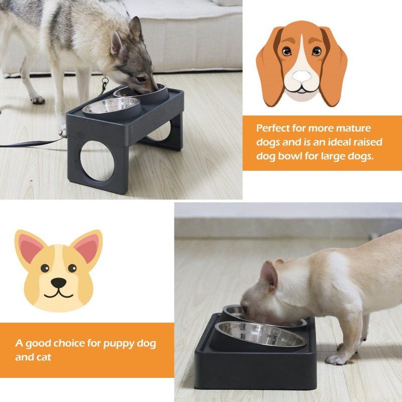 Large Dogs Stainless Steel Elevated Dog Bowls with Stand