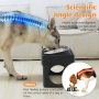 Large Dogs Stainless Steel Elevated Dog Bowls with Stand