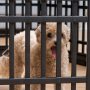 Exercise Pen Tents Portable Pet Playpen with Door