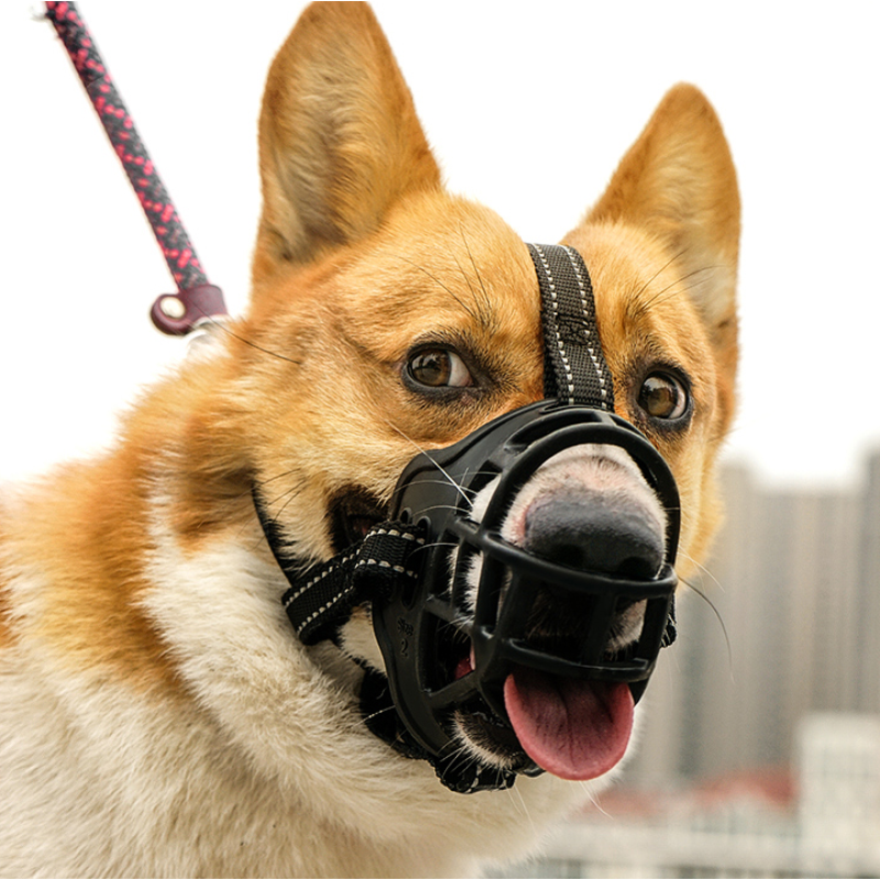 Anti Bite No Bark Dog Mouth Cover Mask Breathable Mesh Pet Dog Muzzle Dog Prevent Bite Eating Bark Cover