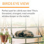 Single Level Cat Hammock Window Perch Mount Kitty Sill
