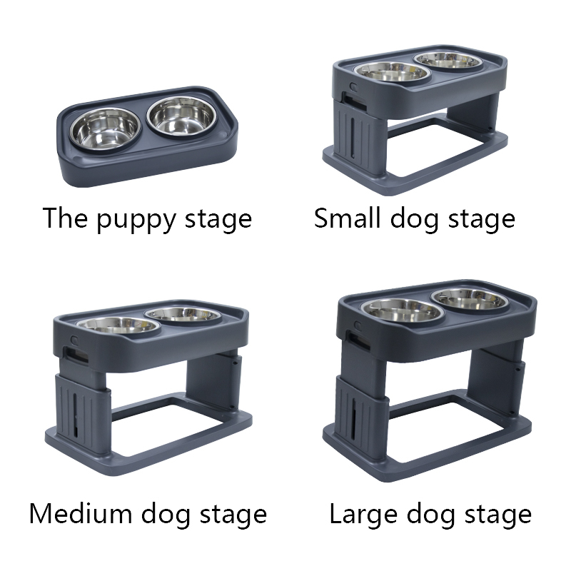 Double Dog Bowl Cat Food Stainless Steel and Water  with Non Skid Silicone Mat Spill Proof For Small Puppy