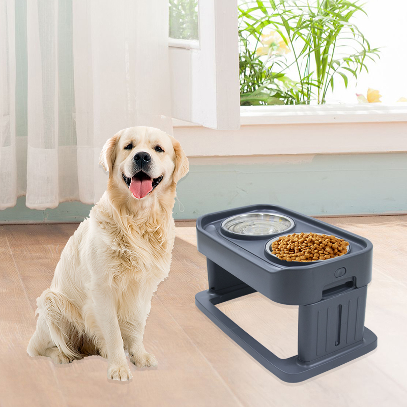 Double Dog Bowl Cat Food Stainless Steel and Water  with Non Skid Silicone Mat Spill Proof For Small Puppy