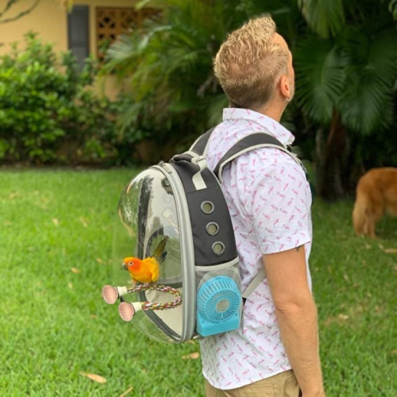 Pet Parrot Carrier Bird Travel Bag Space Capsule Transparent Backpack Breathable 360 Sightseeing