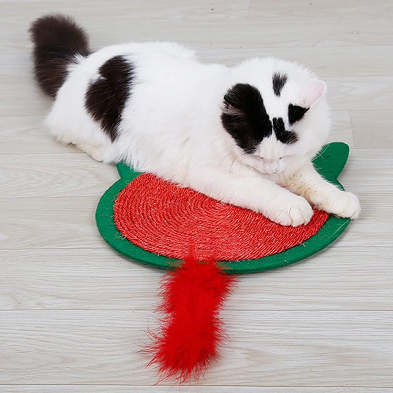 Cat Scratcher Cardboard for Scratch Play Perch