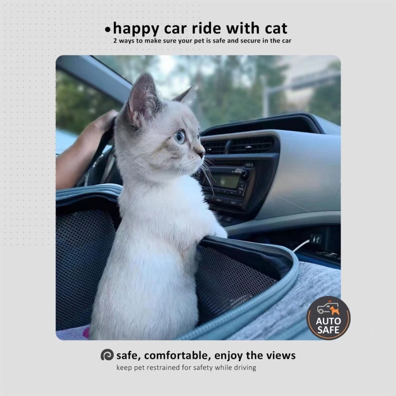 Easy Vet Visit Pet Carrier for Medium Cats and Small Dogs Comfortable and Convenient Airline Approved