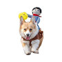 Wholesale Cool Cowboy Rider Dog Costume Clothes Pet Costume Halloween Dogs Clothes Knight Style With Doll