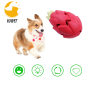 Dog Toy Set Dog Squeaker Toy Ball Dragon Fruit Leaky Chew Toy