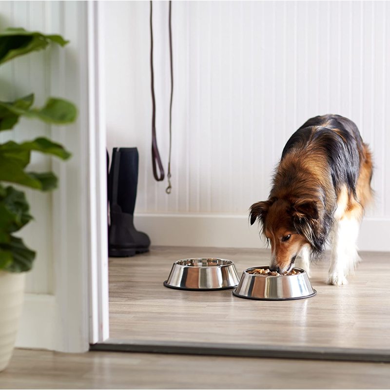 Durable stainless-steel food bowl for puppies, dogs, cats, or kittens
