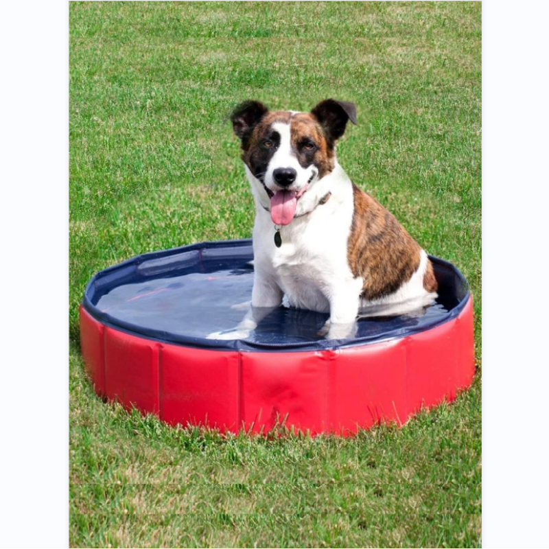 Wholesale Portable and Inflatable Pet Swimming Pool For Dog Use Outside