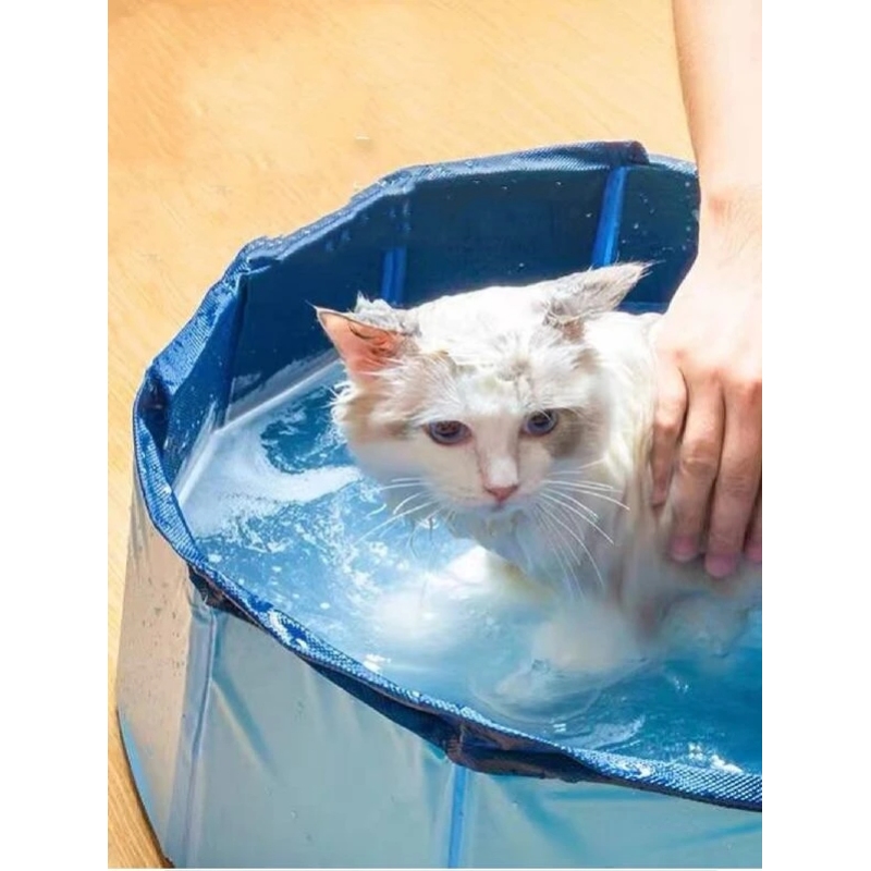 Wholesale Portable and Inflatable Pet Swimming Pool For Dog Use Outside