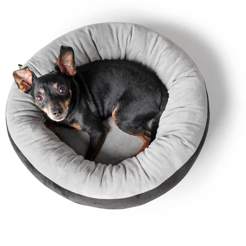 Dog and Cat Bed for Small Dogs Washable Round Cat Beds for Indoor Cats