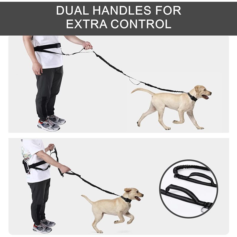 Absorbing Dual Bungee Dog Waist Belt Leash with Reflective Stitches