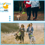 Dog Poop Bag Holder Attaches, Includes , Waste Bag Dispenser and PP Bag