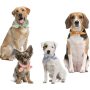 Dog Bandana Polka Dots Dog Kerchief Daily Triangle Bibs, Pink Green Blue Orange Scarfs Pet Birthday Gift, Adjustable