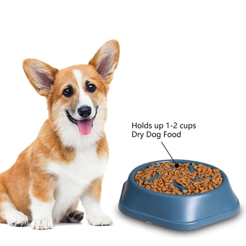 Slow Feeder Dog Bowls & Lick Mats 2 Pack Pet Products