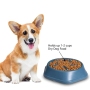 Slow Feeder Dog Bowls & Lick Mats 2 Pack Pet Products