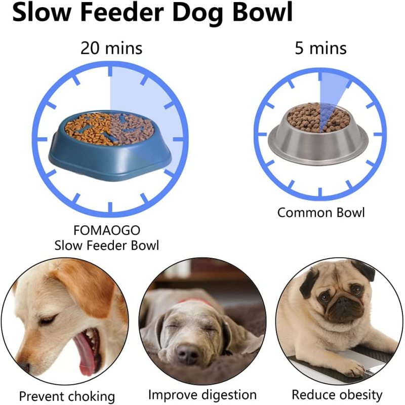 Slow Feeder Dog Bowls & Lick Mats 2 Pack Pet Products