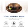 Interactive Training Exercise Recyclable Cat Scratching Board Play Toy Make Fun for Cat