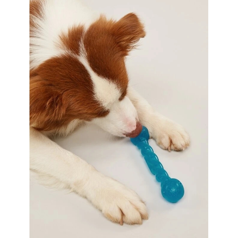 Interactive Floating Dog Toy For Training and Resistance to bite of The Dog