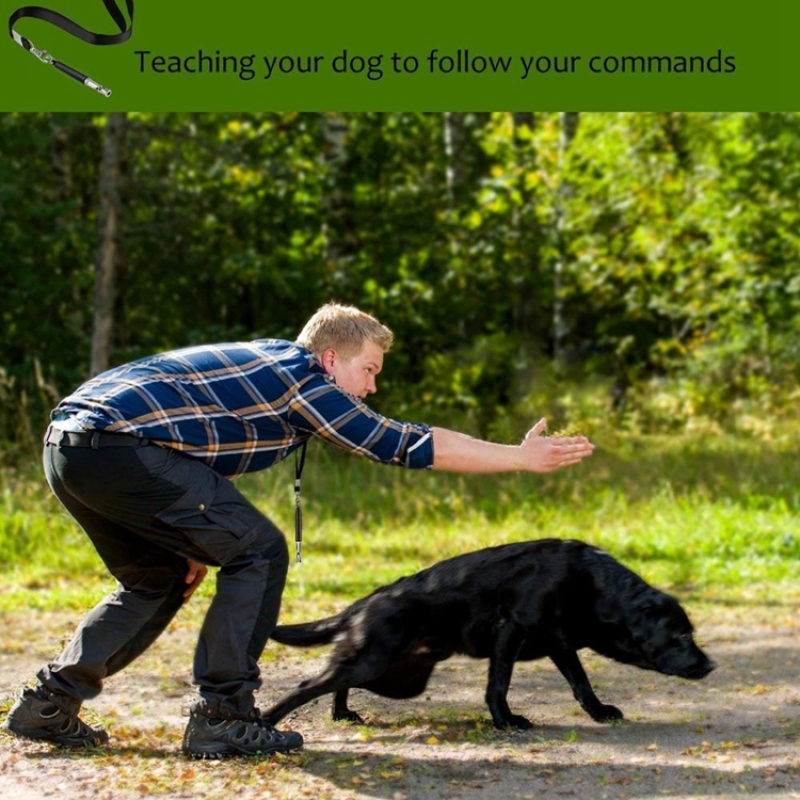 Dog Whistle Adjustable Pitch Ultrasonic Training Tool Silent Bark Control For Dogs With Lanyard Strap