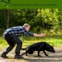 Dog Whistle Adjustable Pitch Ultrasonic Training Tool Silent Bark Control For Dogs With Lanyard Strap