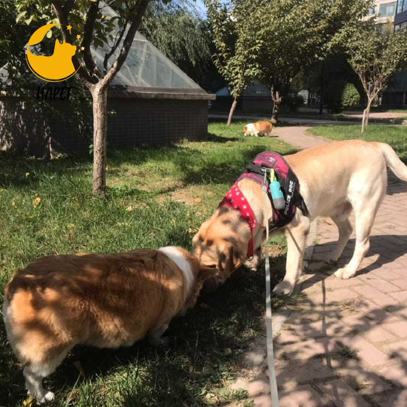 Dog Poop Waste Bag Holder Dispenser with LED Flashlight Pet Products
