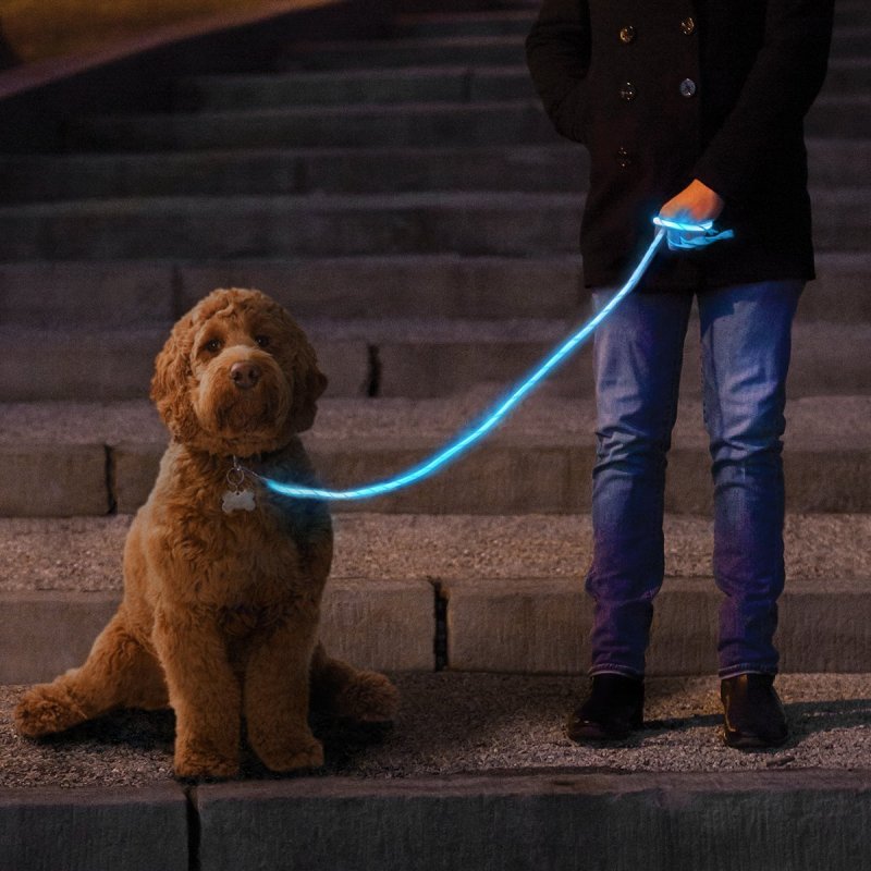 OEM LED Glow in The Dark Pet Dog Leash