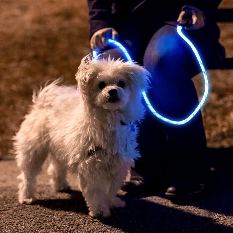 OEM LED Glow in The Dark Pet Dog Leash