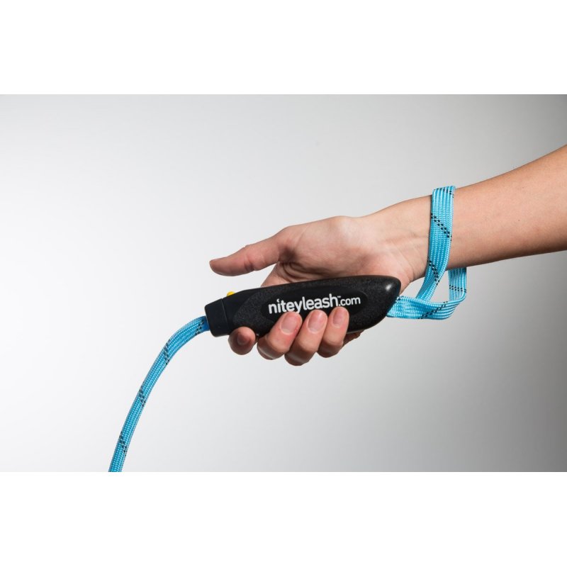 OEM LED Glow in The Dark Pet Dog Leash