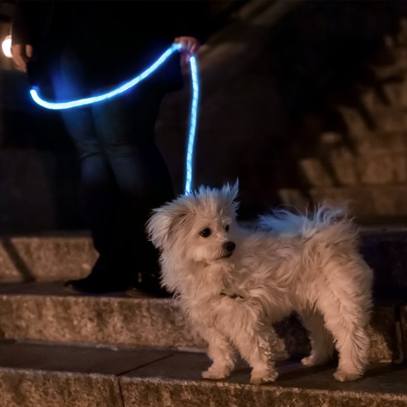 OEM LED Glow in The Dark Pet Dog Leash