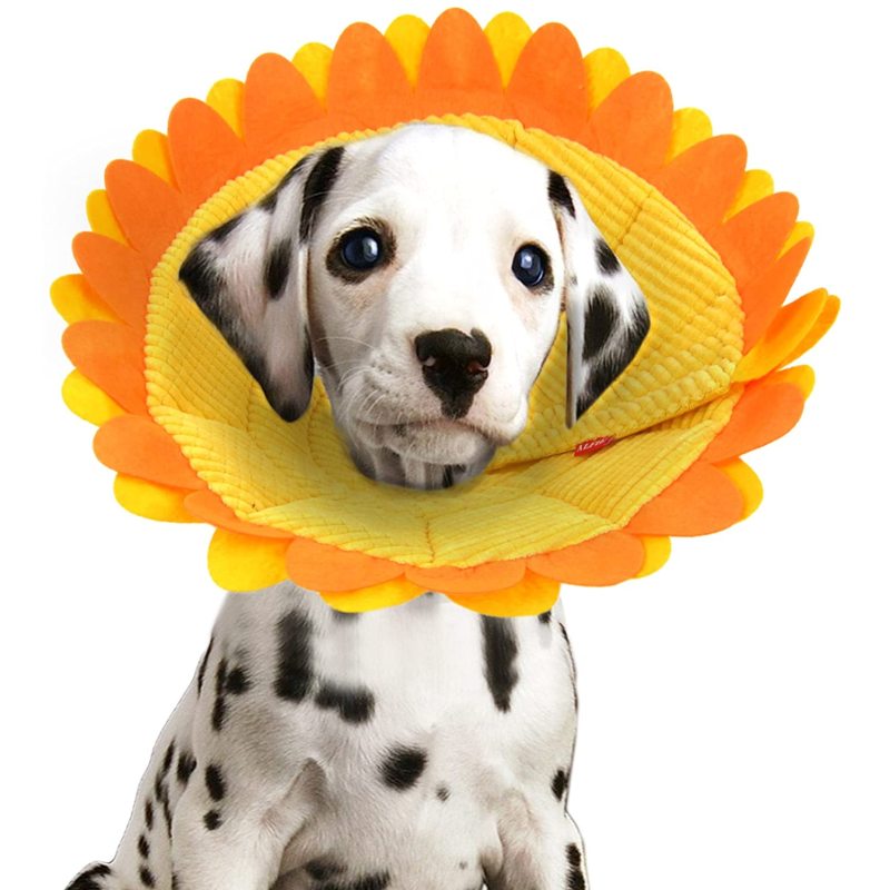 Sunflower Noel Recovery Collar for Dogs and Cats