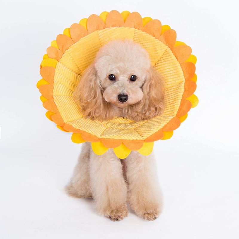 Sunflower Noel Recovery Collar for Dogs and Cats