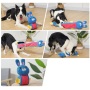 Dog Puzzle Toys Hot Pet Supplies Dog Interactive IQ Training Food Squeaky Plush Snuffle Dog Toy