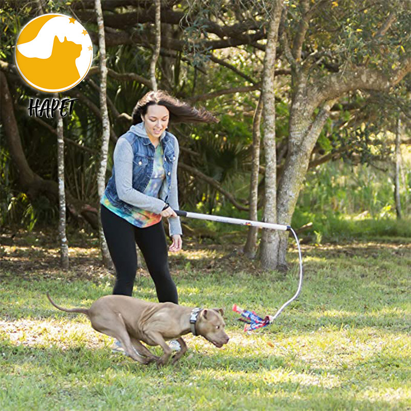 Dog flirt Pole Toy tug Tease Wand  Non-Bungee Cord Dog Toy for Fun Obedience Training Toy