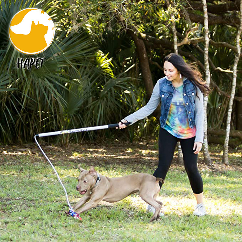 Dog flirt Pole Toy tug Tease Wand  Non-Bungee Cord Dog Toy for Fun Obedience Training Toy