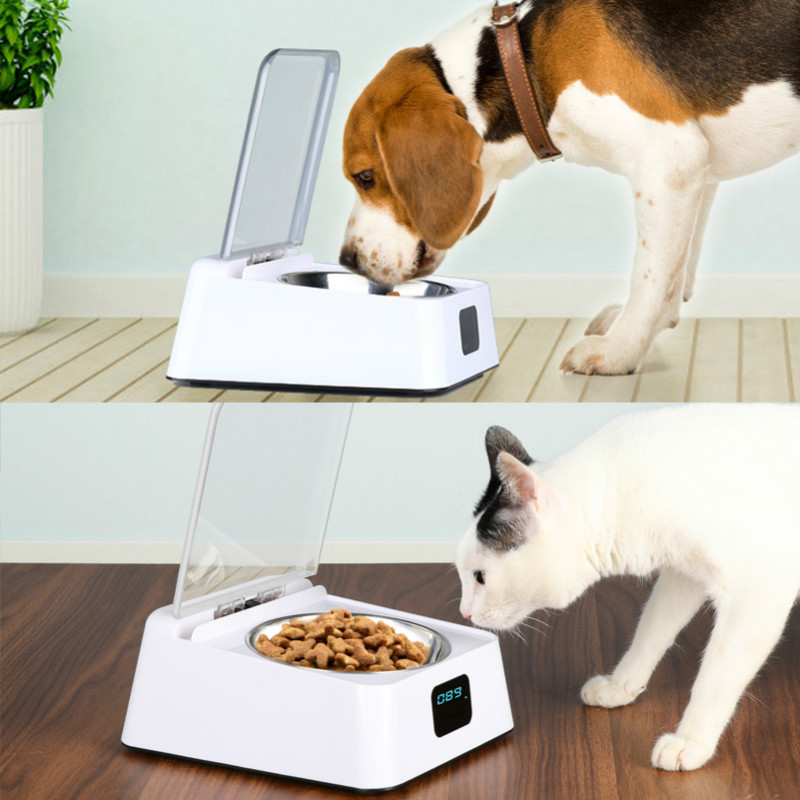 Slow Feeder Interactive IQ Electric Dispenser Food Dispensing Bowl Environmental Seal Dog Stainless steel Bowl