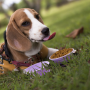Silicone Collapsible Pet Food Bowls set Outdoor Folding Pet Bowls Silicone Foldable Double Pet Bowls for Travel