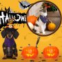 Halloween Dog Bandanas Large Girl Boy Scarf Holiday Dog  Pet  Handkerchief for Small Medium Large