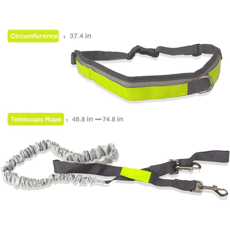 Dual Handle Bungee Waist Zipper Pouch Dog Leash for Up to 150 lbs Large Dogs' Training