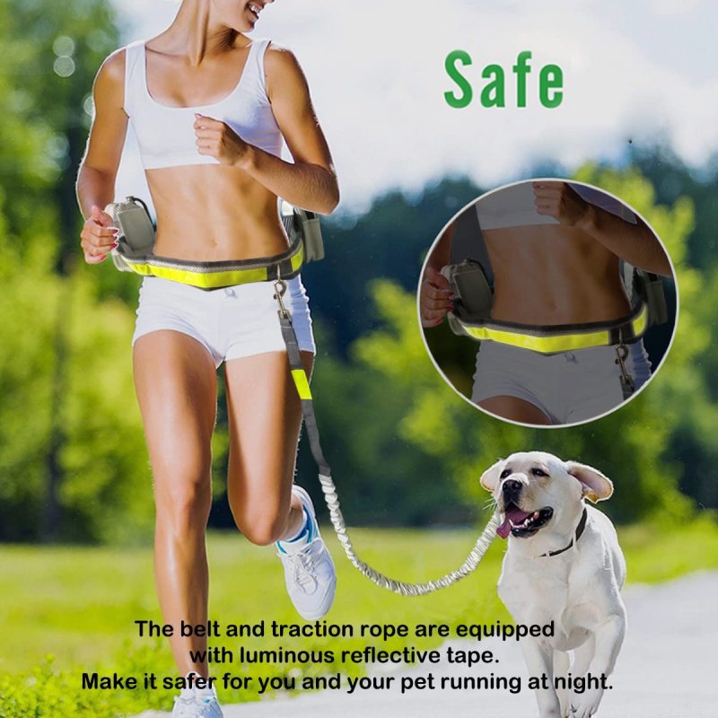 Dual Handle Bungee Waist Zipper Pouch Dog Leash for Up to 150 lbs Large Dogs' Training