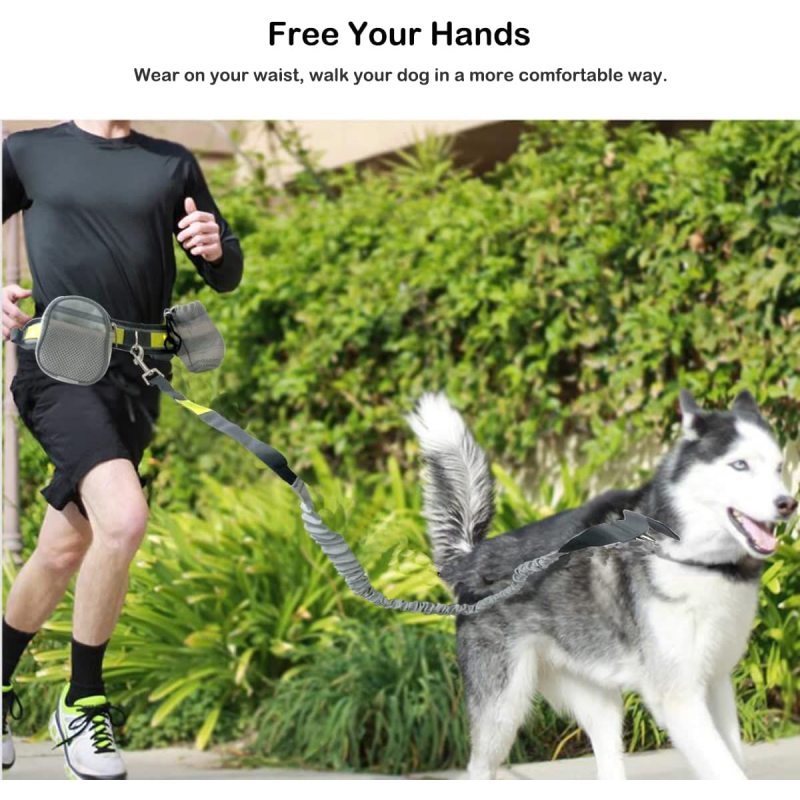 Dual Handle Bungee Waist Zipper Pouch Dog Leash for Up to 150 lbs Large Dogs' Training