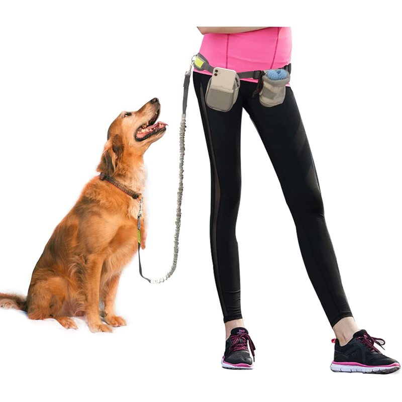 Dual Handle Bungee Waist Zipper Pouch Dog Leash for Up to 150 lbs Large Dogs' Training