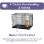 Pets Newly Enhanced Single & Double Door iCrate Dog Crate, Includes Leak-Proof Pan, Floor Protecting Feet, Divider Panel & New P