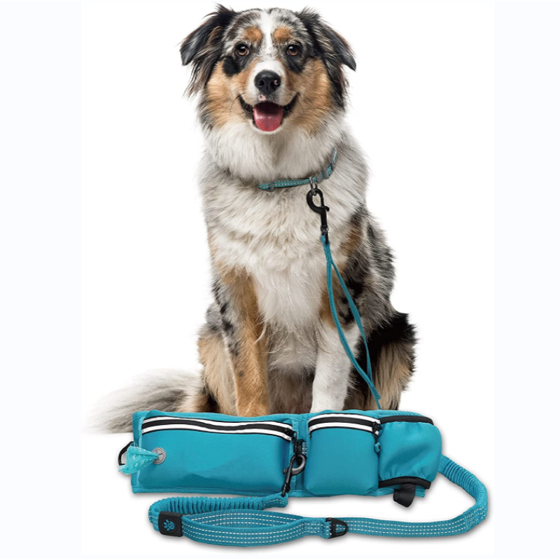 Reflective Stitches Adjustable Waist Belt Hands Free Leash for Running Walking Jogging