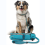 Reflective Stitches Adjustable Waist Belt Hands Free Leash for Running Walking Jogging