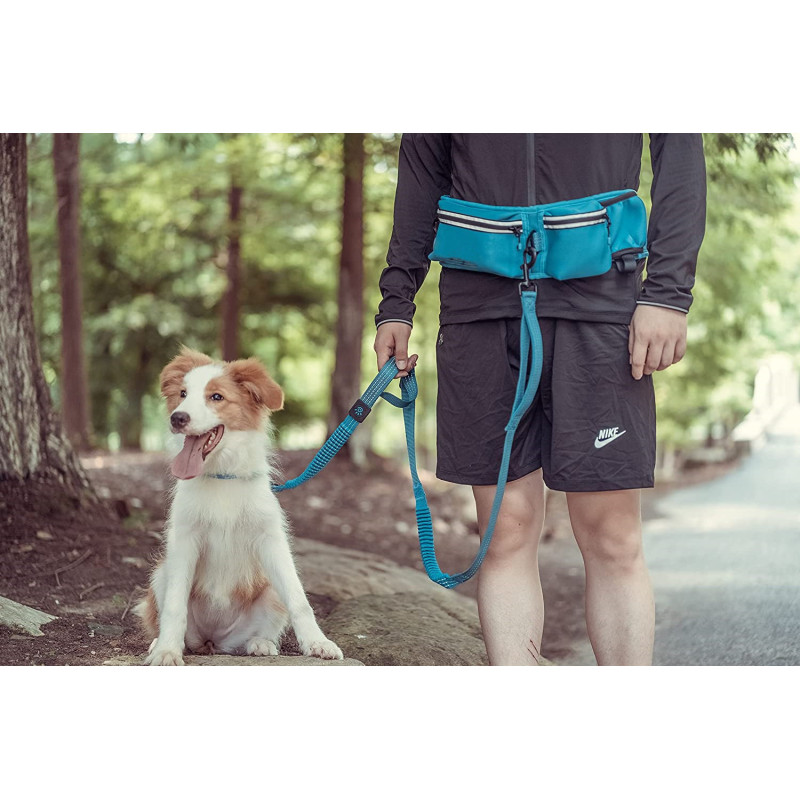 Reflective Stitches Adjustable Waist Belt Hands Free Leash for Running Walking Jogging