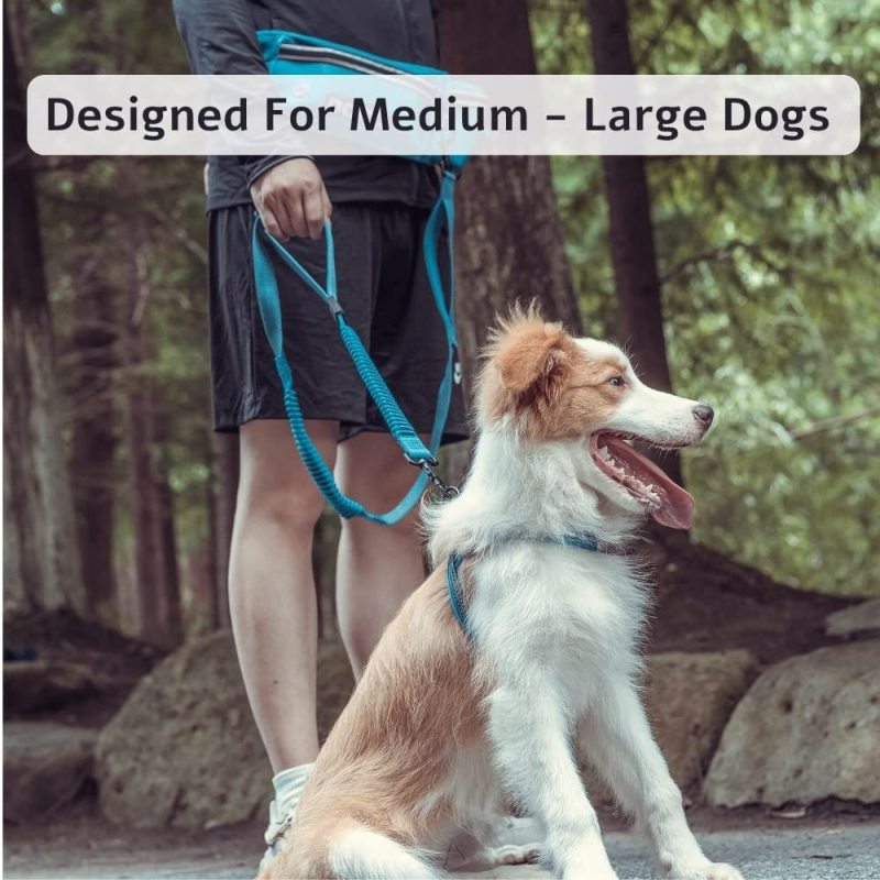 Reflective Stitches Adjustable Waist Belt Hands Free Leash for Running Walking Jogging