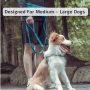 Reflective Stitches Adjustable Waist Belt Hands Free Leash for Running Walking Jogging
