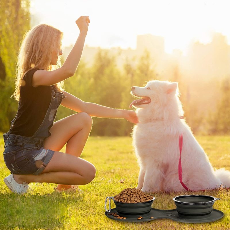Portable Travel Collapsible Dog Bowls Pet Food Feeding Cat Fold able Expandable Cup for Traveling
